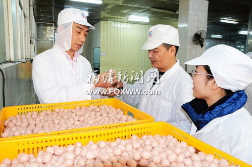 海壹公司 国内最大的专业速冻食品生产企业之一